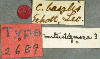Media type: image;   Entomology 2689 Aspect: labels